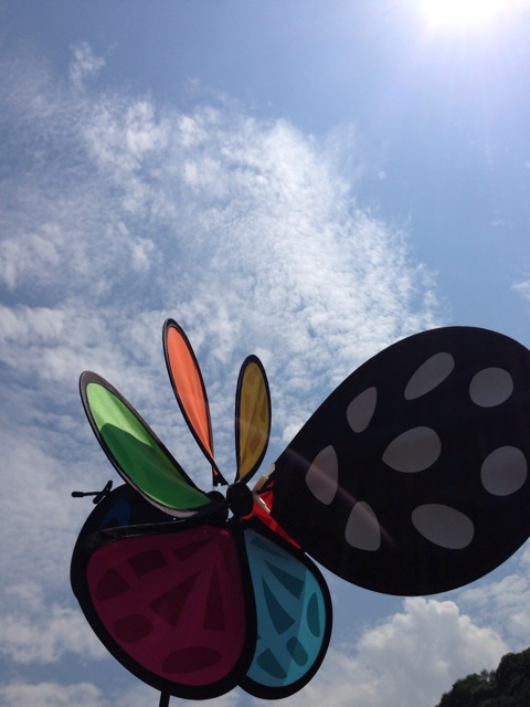 f:id:yyyeee:20150721205923j:plain f:id:yyyeee:20150721205923j:plain