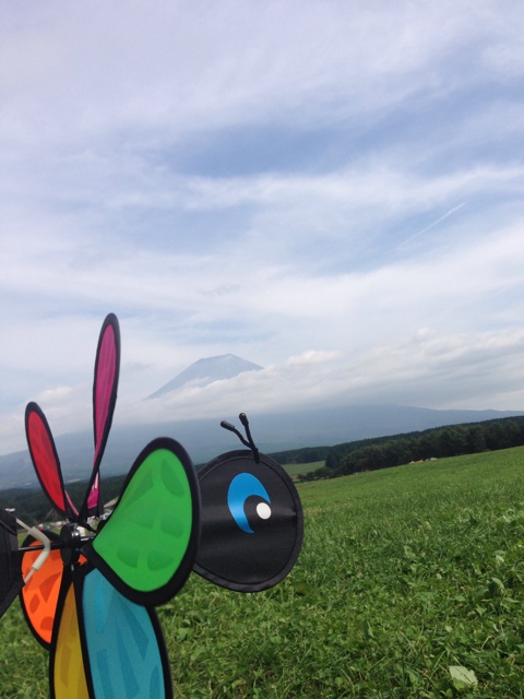 f:id:yyyeee:20150925075144j:plain f:id:yyyeee:20150925075144j:plain