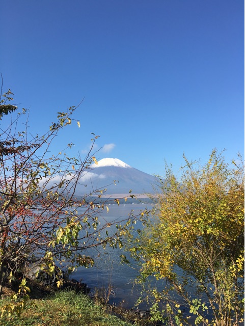 f:id:yyyeee:20151013191815j:plain f:id:yyyeee:20151013191815j:plain