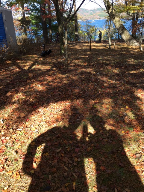 f:id:yyyeee:20151106072838j:plain f:id:yyyeee:20151106072838j:plain