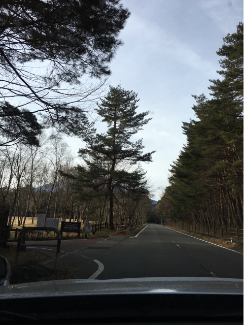 f:id:yyyeee:20160125203450j:plain f:id:yyyeee:20160125203450j:plain