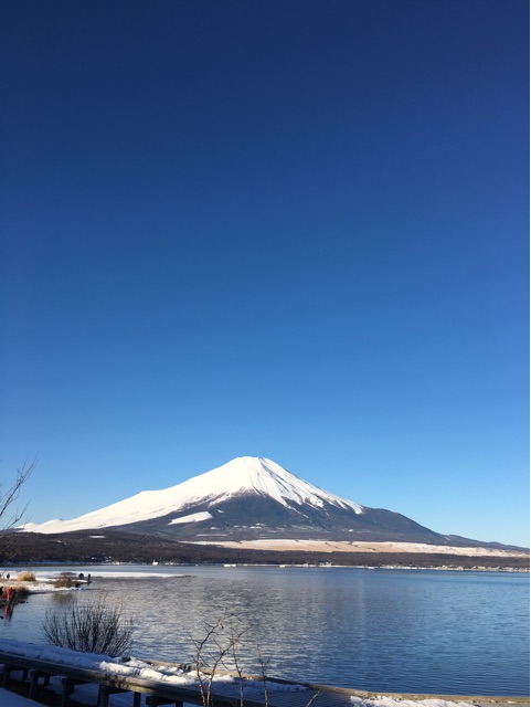 f:id:yyyeee:20160212212235j:plain f:id:yyyeee:20160212212235j:plain