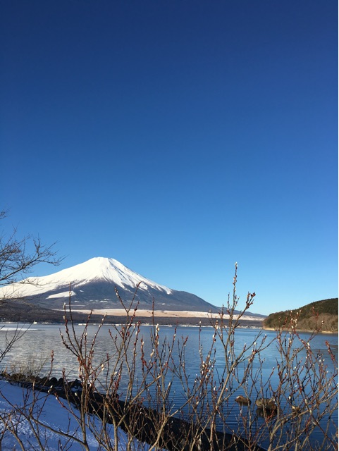 f:id:yyyeee:20160212212251j:plain f:id:yyyeee:20160212212251j:plain