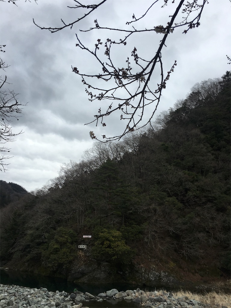 f:id:yyyeee:20160411212144j:image f:id:yyyeee:20160411212144j:image