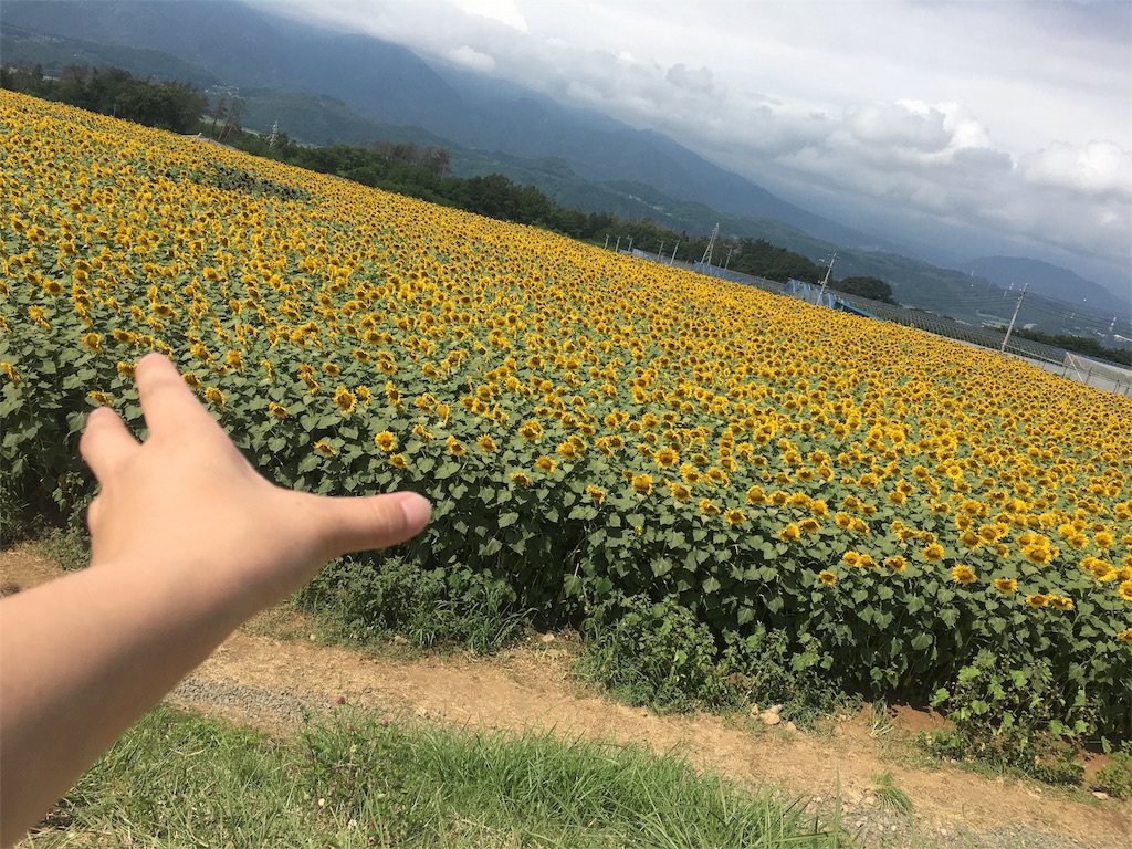 f:id:yyyeee:20160829083707j:image f:id:yyyeee:20160829083707j:image