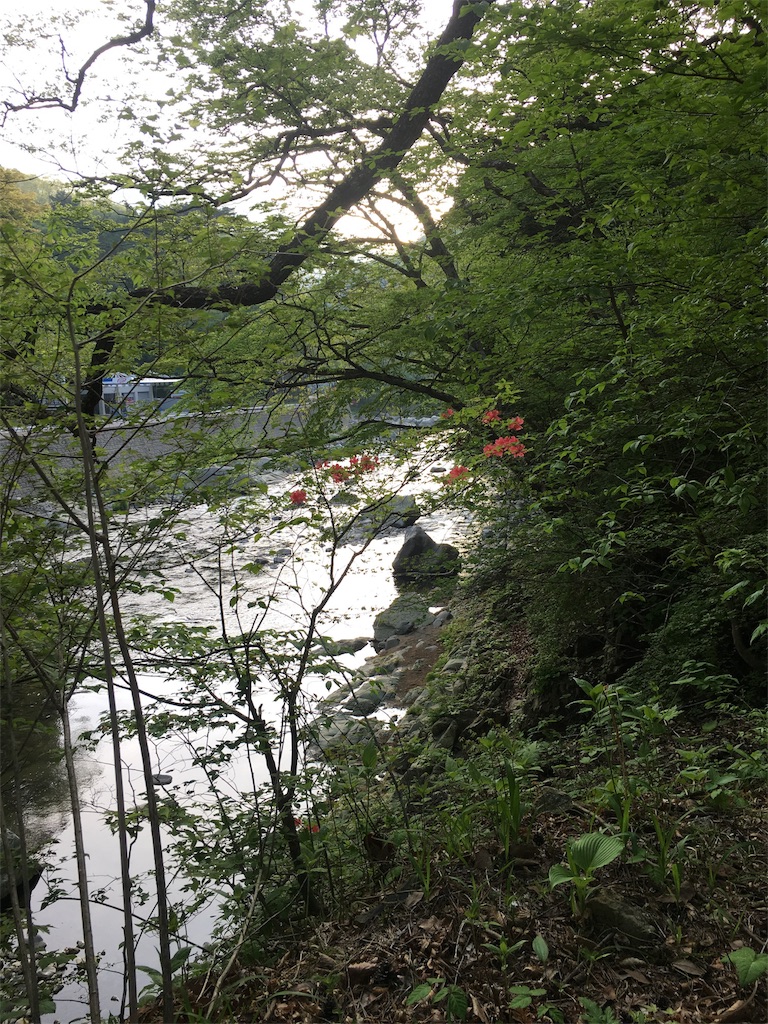 f:id:yyyeee:20180509084057j:image f:id:yyyeee:20180509084057j:image