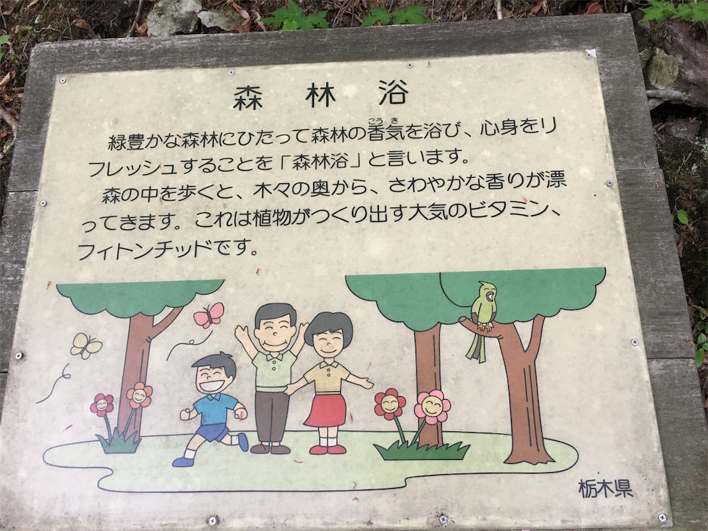 f:id:yyyeee:20180516180315j:image f:id:yyyeee:20180516180315j:image
