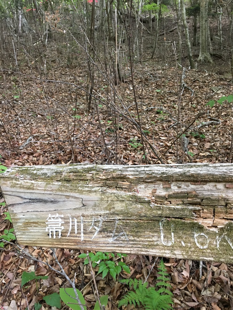 f:id:yyyeee:20180518181412j:image f:id:yyyeee:20180518181412j:image