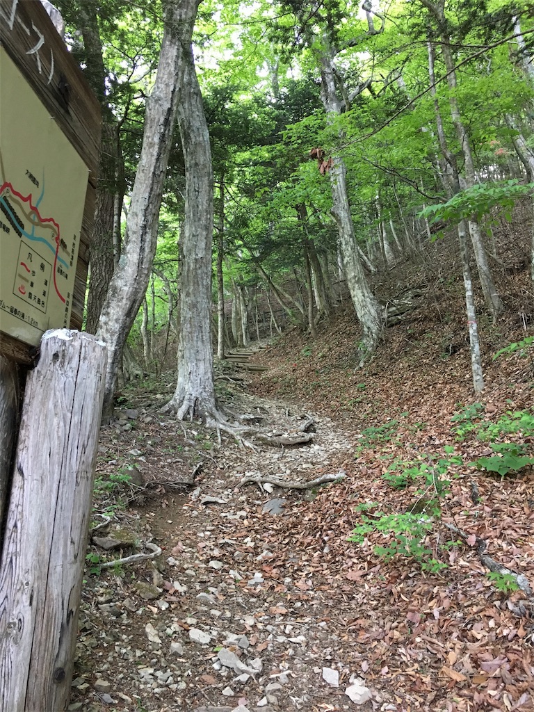f:id:yyyeee:20180518181445j:image f:id:yyyeee:20180518181445j:image