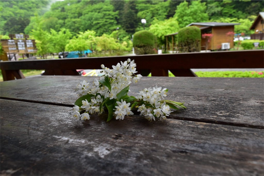 f:id:yyyeee:20180525063102j:image f:id:yyyeee:20180525063102j:image