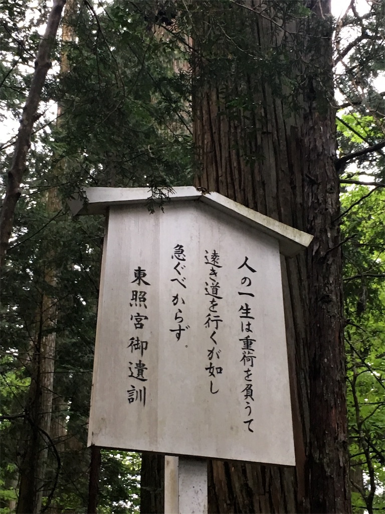f:id:yyyeee:20180601063637j:image f:id:yyyeee:20180601063637j:image
