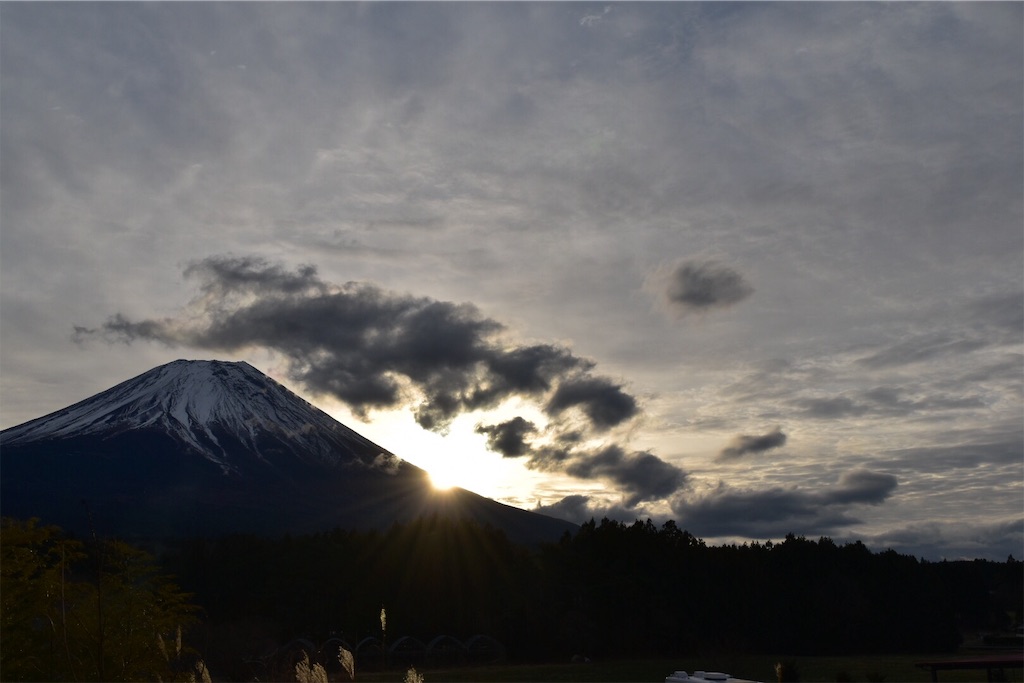 f:id:yyyeee:20190222094722j:image f:id:yyyeee:20190222094722j:image