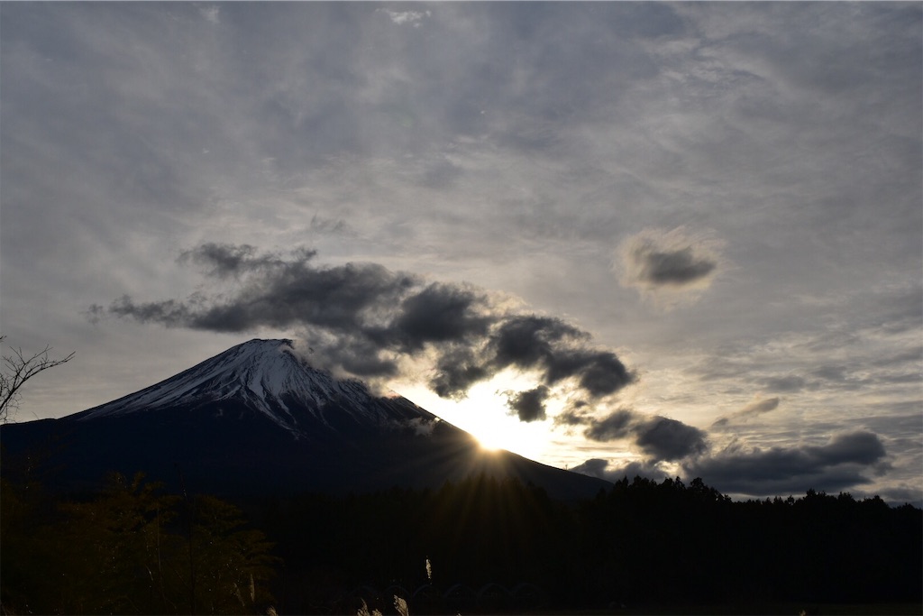 f:id:yyyeee:20190222140017j:image f:id:yyyeee:20190222140017j:image