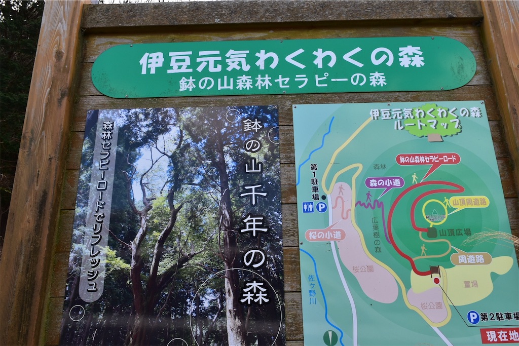 f:id:yyyeee:20200113203429j:image