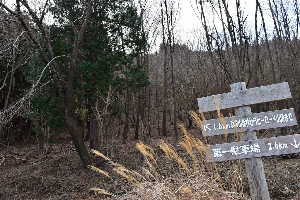 f:id:yyyeee:20200113203440j:image