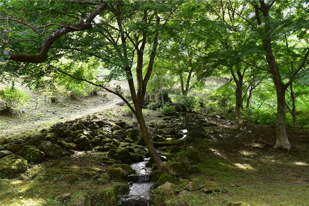 f:id:yyyeee:20201107192526j:image
