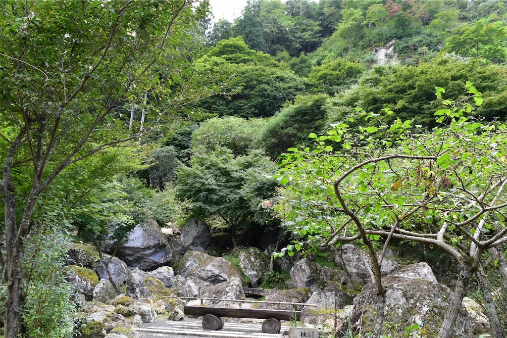 f:id:yyyeee:20201107192633j:image