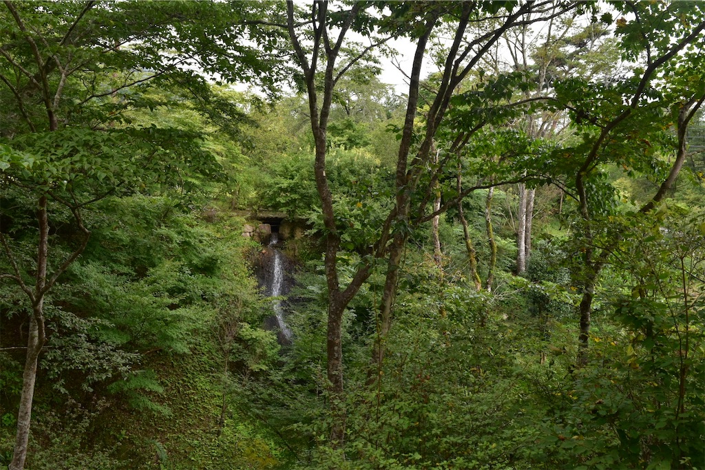 f:id:yyyeee:20201107193057j:image