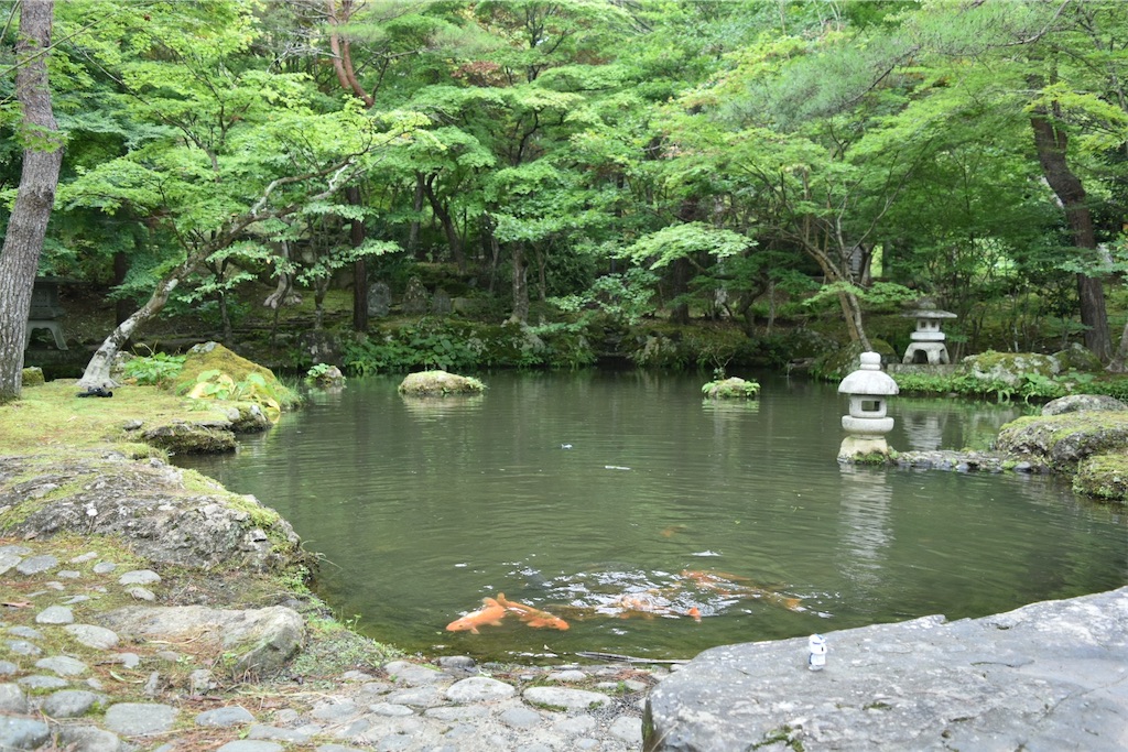 f:id:yyyeee:20201107193104j:image