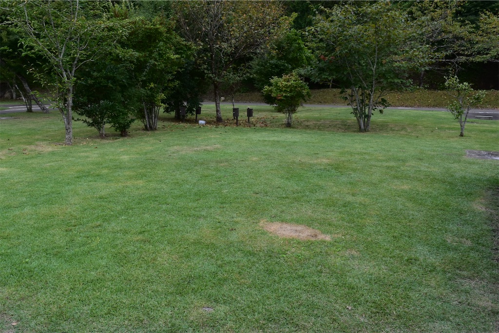 f:id:yyyeee:20201107193413j:image