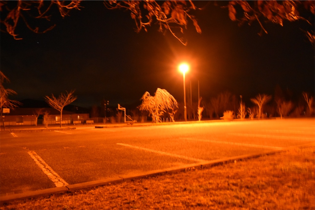 f:id:yyyeee:20210102103249j:image