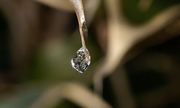 20061224163232