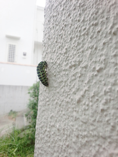 f:id:yyzz2:20150816061341j:image