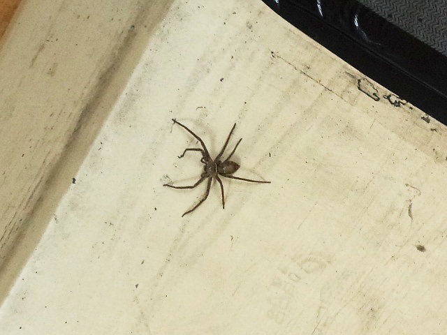 f:id:yyzz2:20150816061343j:image f:id:yyzz2:20150816061343j:image