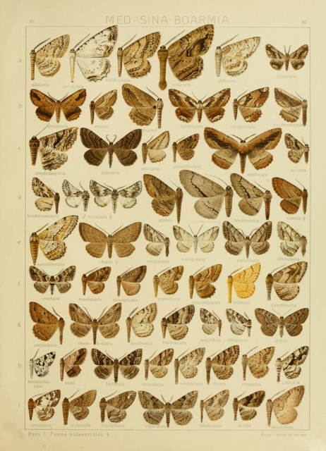 f:id:yyzz2:20160719181053j:image