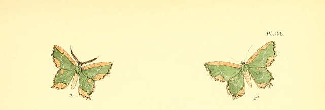 f:id:yyzz2:20160820223247j:image