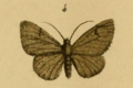 20170421212915