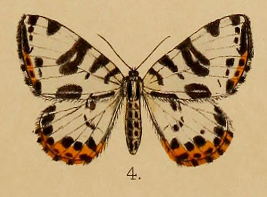 f:id:yyzz2:20170513071322j:image f:id:yyzz2:20170513071322j:image