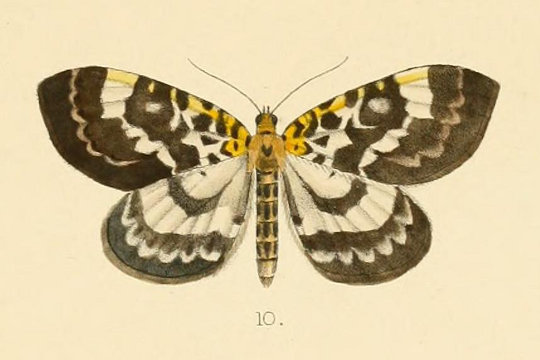 f:id:yyzz2:20170513071324j:image f:id:yyzz2:20170513071324j:image