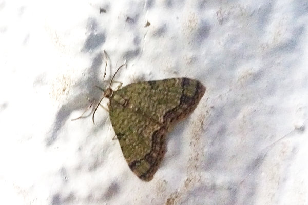 f:id:yyzz2:20171001192522j:image f:id:yyzz2:20171001192522j:image