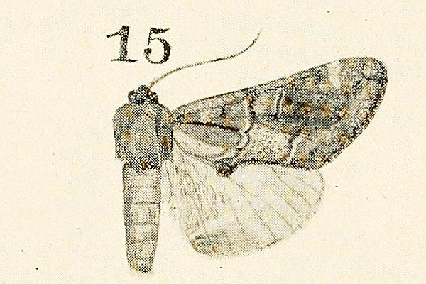 f:id:yyzz2:20171003184922j:image