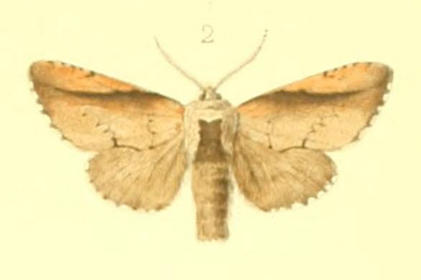 f:id:yyzz2:20171003193059j:image