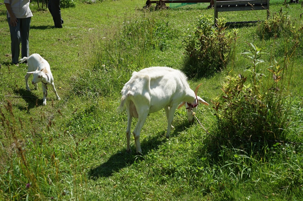 f:id:yz-paradise:20160713223310j:plain