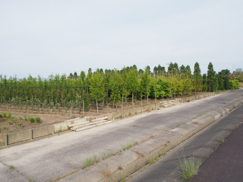 f:id:yz-paradise:20180512192742j:plain