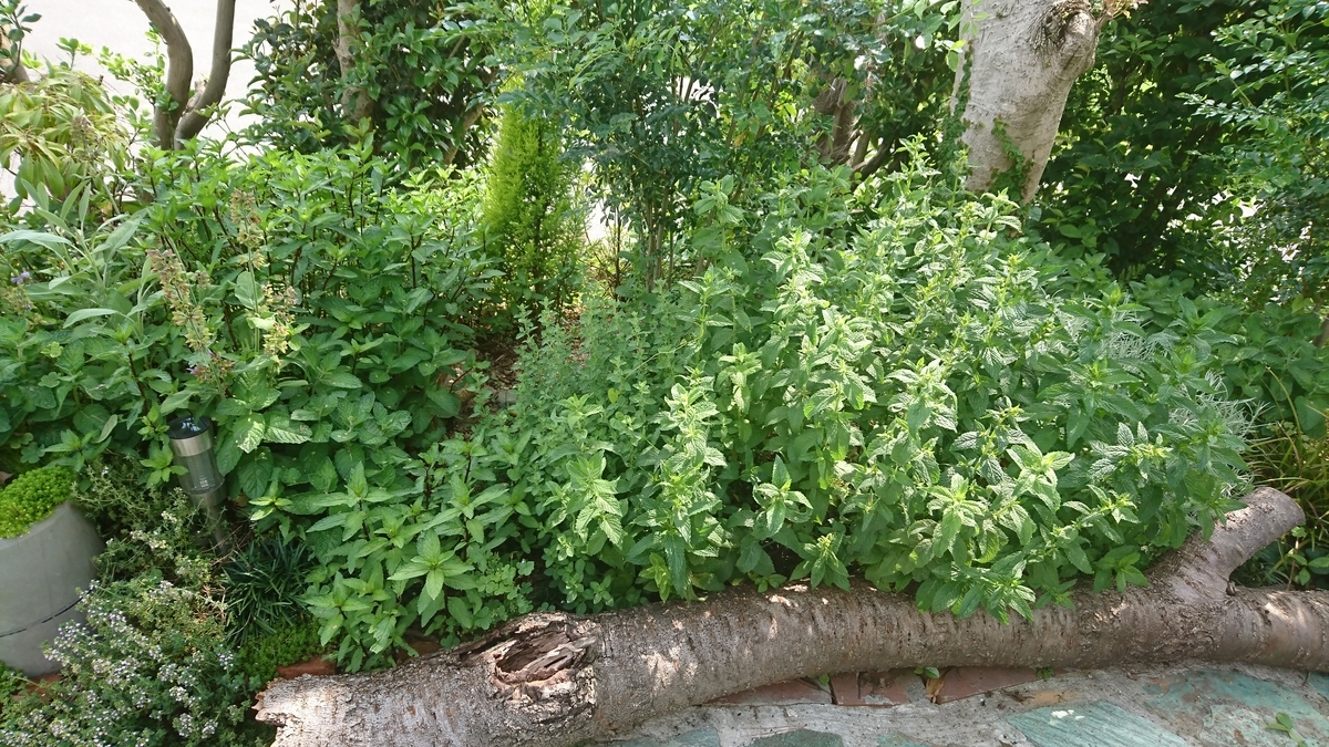 f:id:z-zero:20190723212413j:plain f:id:z-zero:20190723212413j:plain