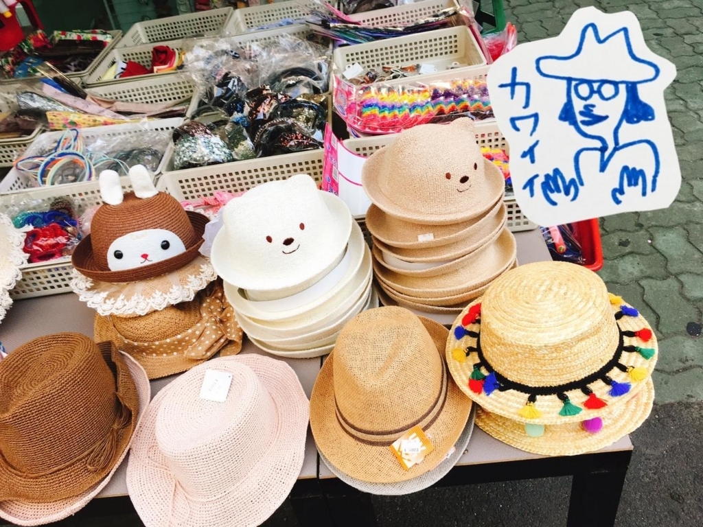 f:id:z00khunsapporo:20180112220800j:plain f:id:z00khunsapporo:20180112220800j:plain