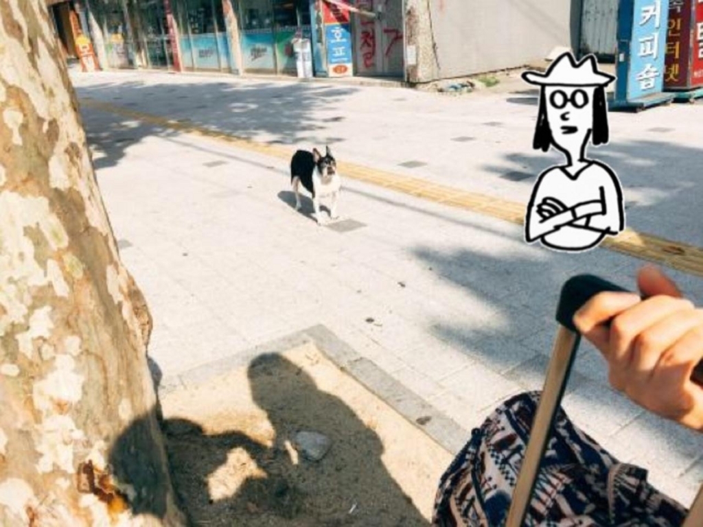 f:id:z00khunsapporo:20180112222332j:plain f:id:z00khunsapporo:20180112222332j:plain
