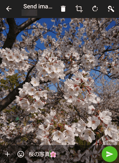 f:id:z_logger:20190420163410p:plain