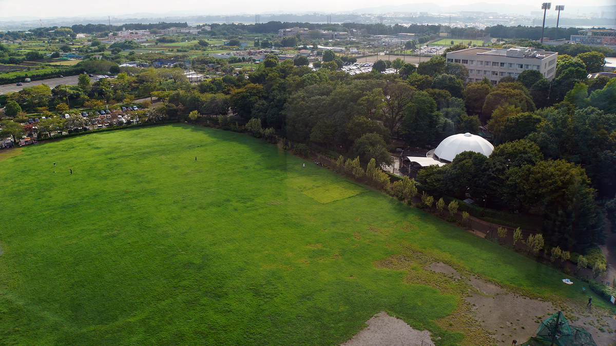 グリーンタワーから見た芝生広場