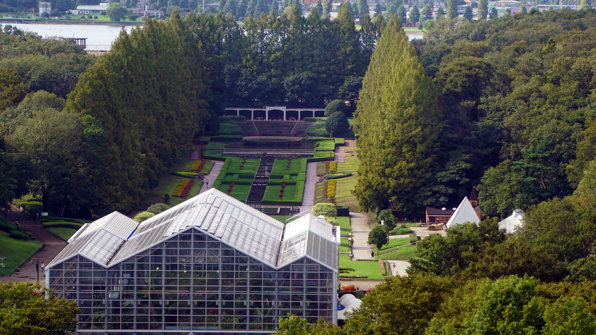 グリーンタワーから見た相模原公園
