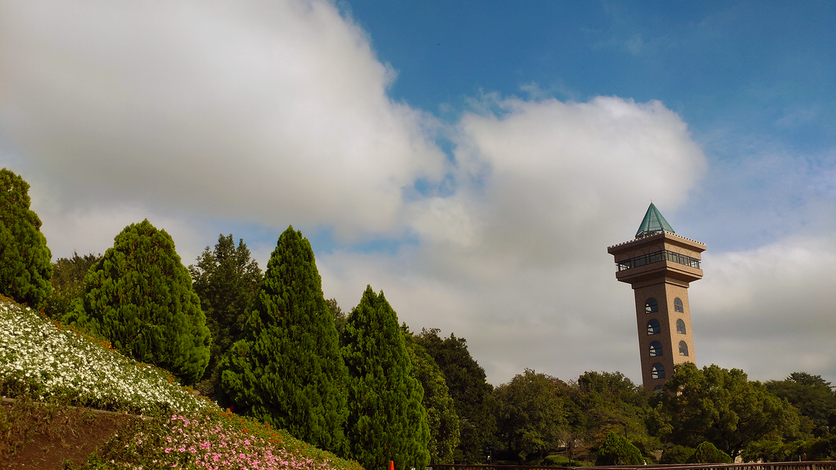 相模原麻溝公園