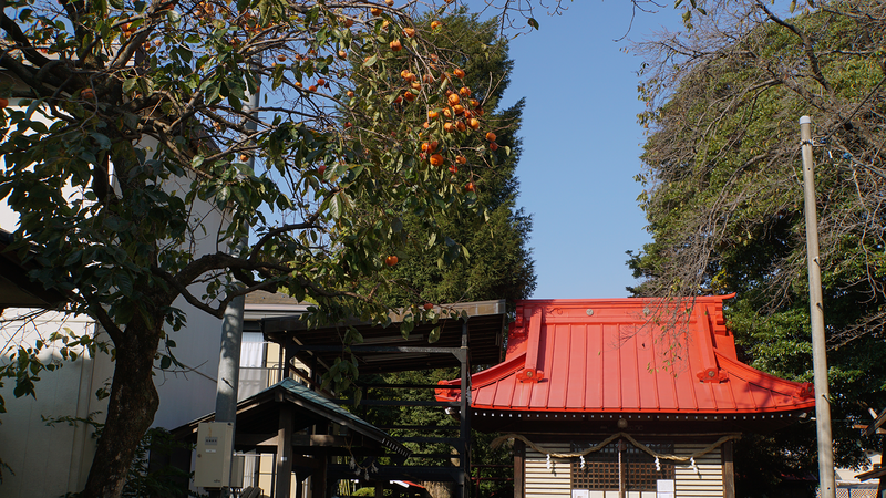 下磯部 御嶽神社（相模原市南区)