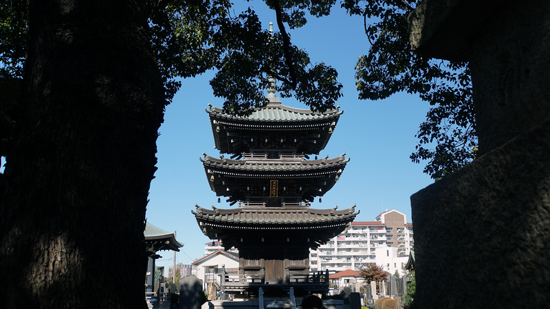 泉龍寺（相模原市南区）