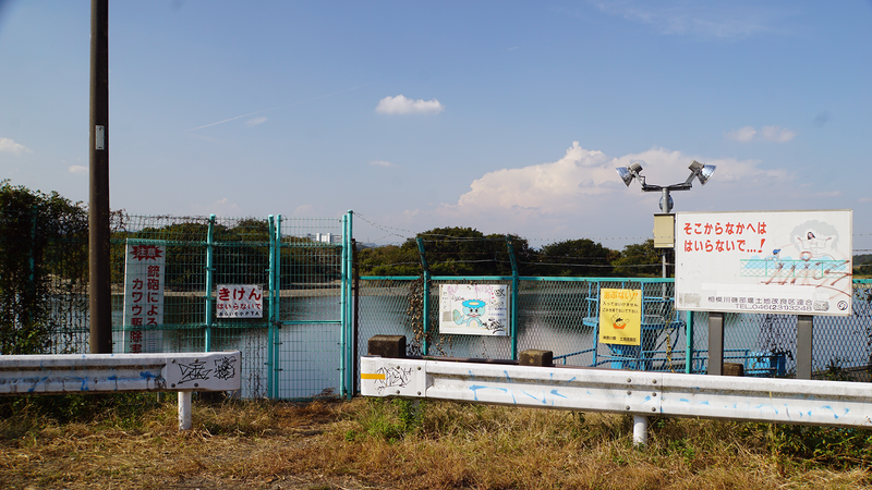 磯部頭首工公園（相模原市南区）