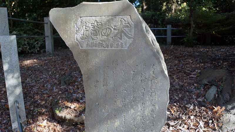 無量光寺（相模原市南区）