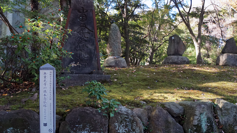 無量光寺（相模原市南区）